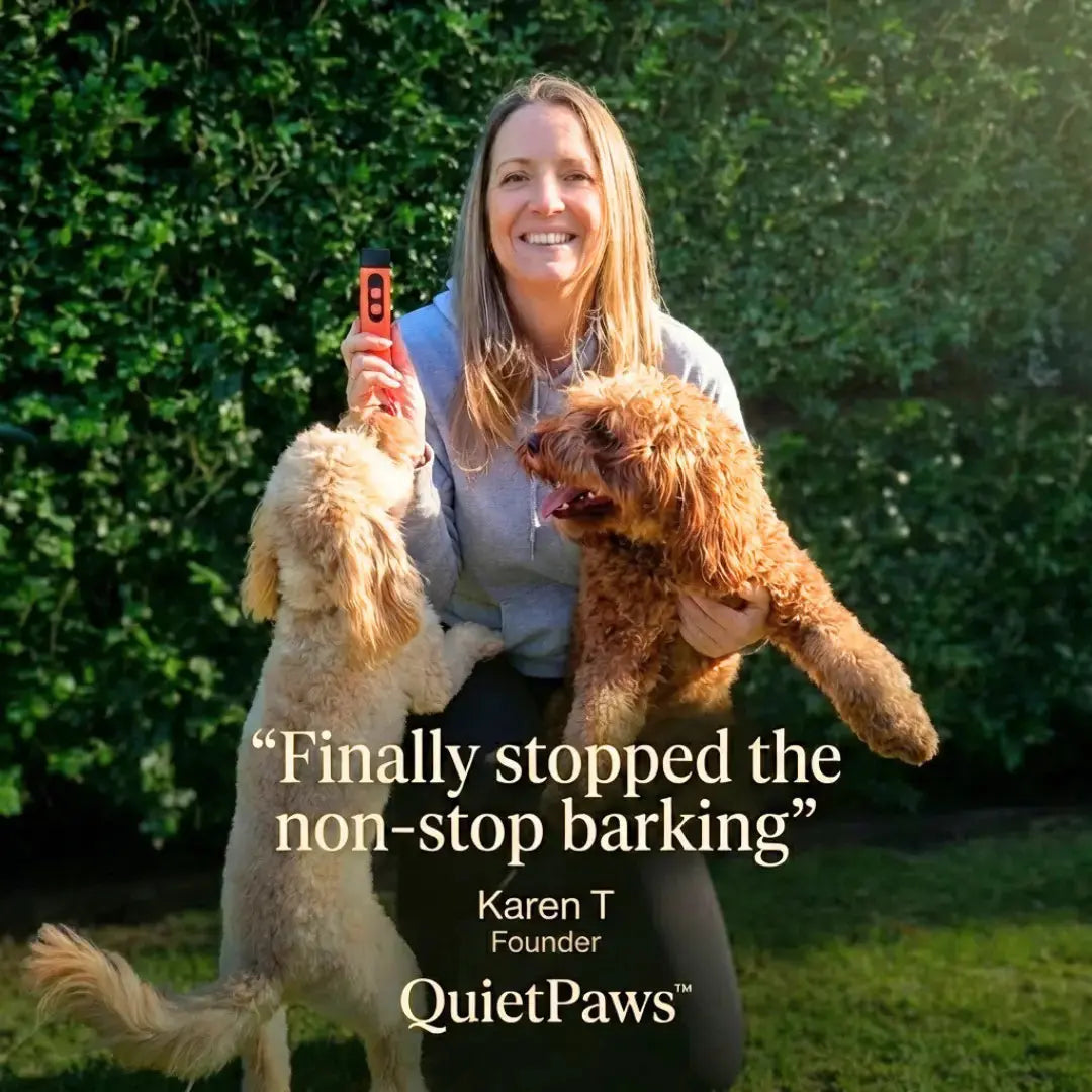 Gentle Bark Control | Anti Barking Device with Ultrasonic Technology | Humane Training Solution for Calm Dogs