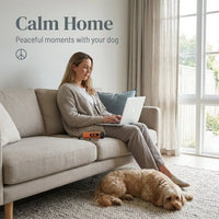 Gentle Bark Control | Anti Barking Device with Ultrasonic Technology | Humane Training Solution for Calm Dogs